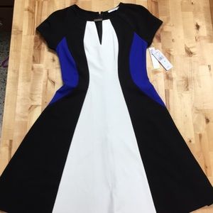 Studio One New York Size 4 Fit and Flare Dress